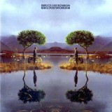 Bruce Dickinson - Skunkworks